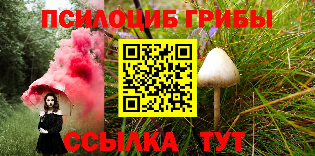 Галлюциногенные грибы Cubensis  Вход с VPN  Галлюциногенные грибы прущие грибы  Звенигород 