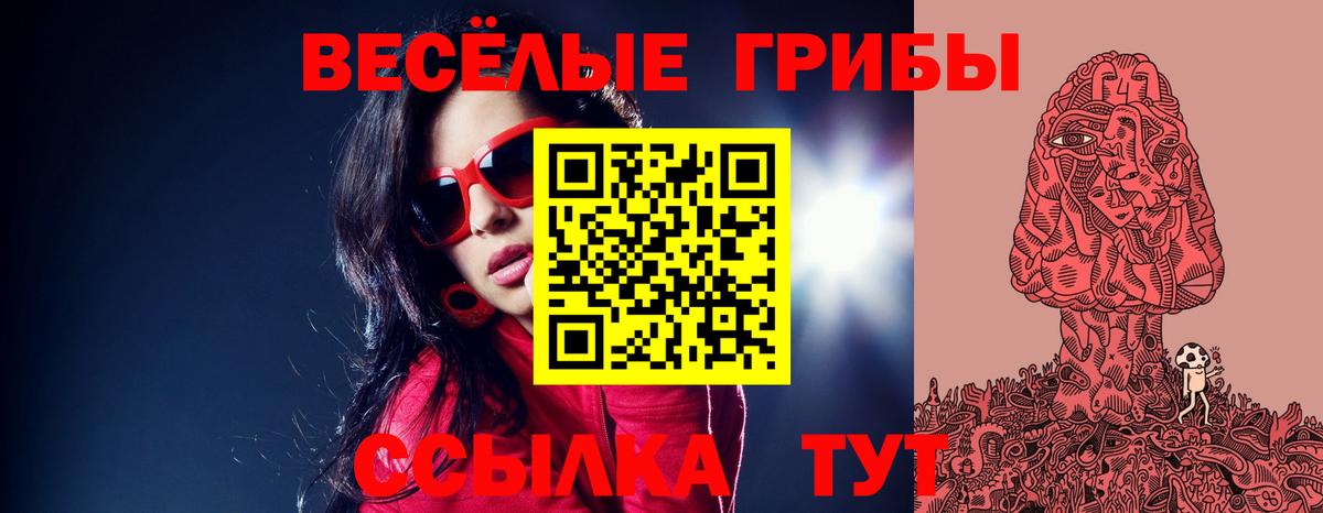 Псилоцибиновые грибы мухоморы Звенигород