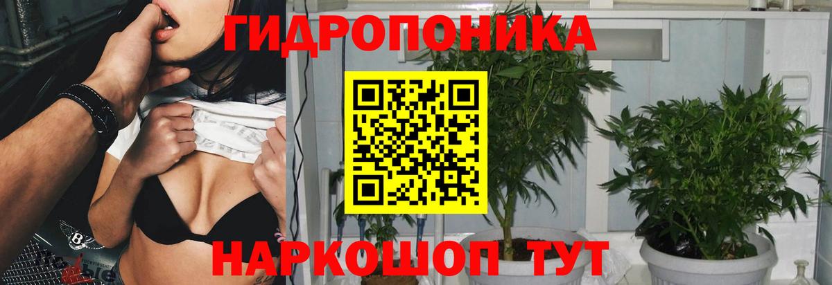 Бошки Шишки Bruce Banner Звенигород